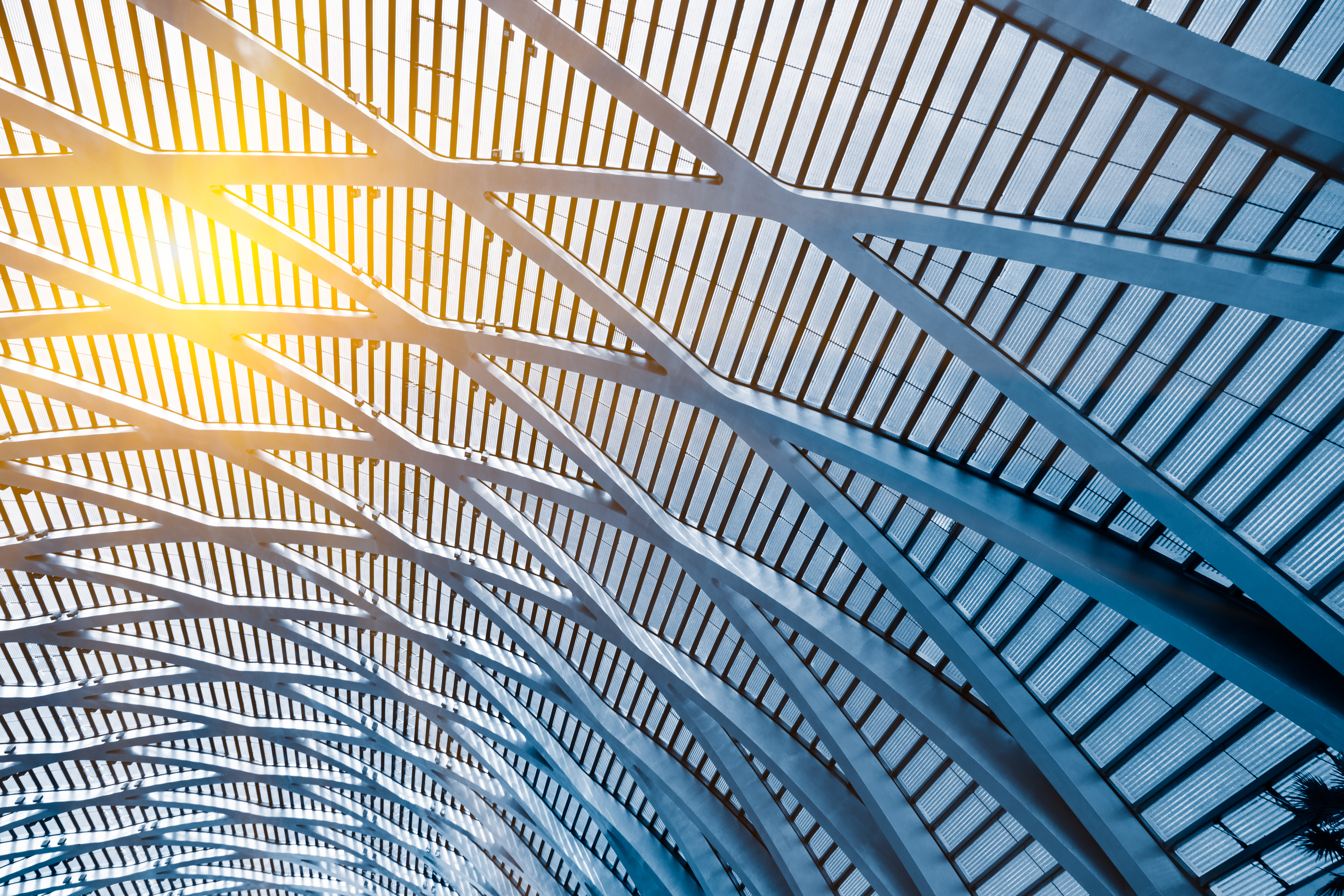 صورة المقال